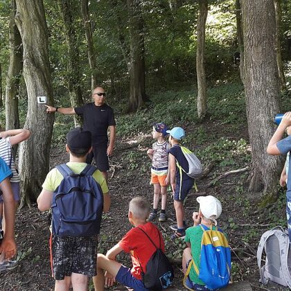 tájékozódás az erdőben