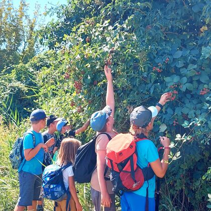 Tízórai az erdei túrán